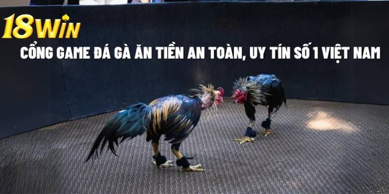 Sảnh cược đem lại sự chân thật cho các cược thủ